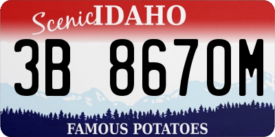 ID license plate 3B8670M