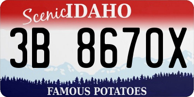 ID license plate 3B8670X