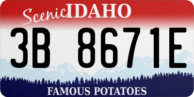 ID license plate 3B8671E