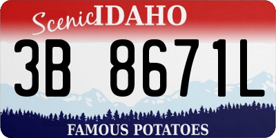 ID license plate 3B8671L