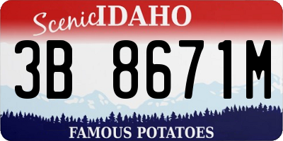ID license plate 3B8671M