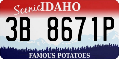 ID license plate 3B8671P