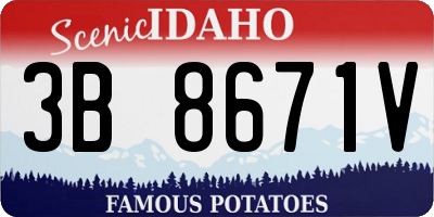 ID license plate 3B8671V