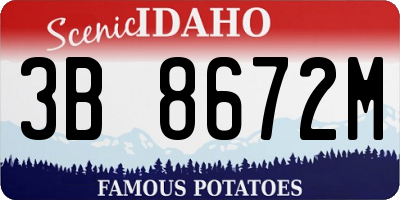 ID license plate 3B8672M