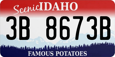 ID license plate 3B8673B