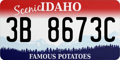 ID license plate 3B8673C