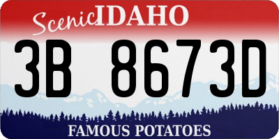 ID license plate 3B8673D