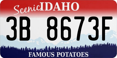 ID license plate 3B8673F