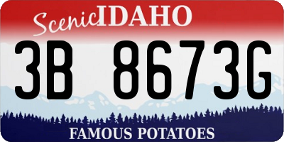 ID license plate 3B8673G