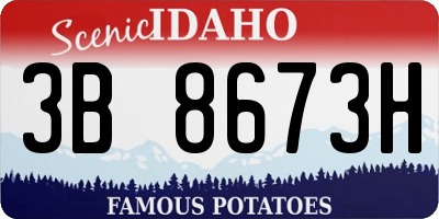 ID license plate 3B8673H