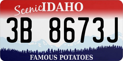 ID license plate 3B8673J