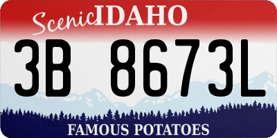ID license plate 3B8673L