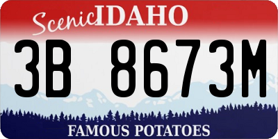 ID license plate 3B8673M