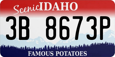 ID license plate 3B8673P