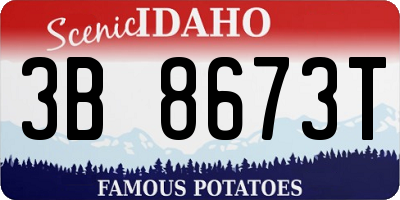 ID license plate 3B8673T