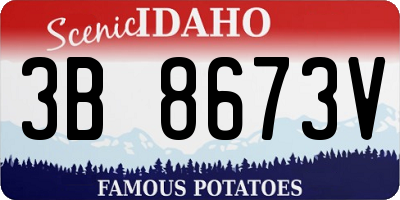 ID license plate 3B8673V