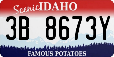 ID license plate 3B8673Y