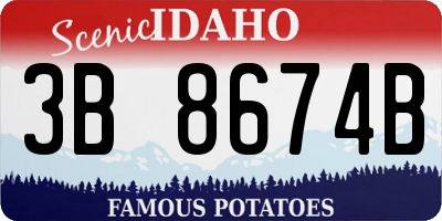 ID license plate 3B8674B