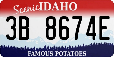 ID license plate 3B8674E