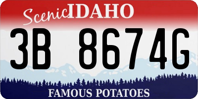 ID license plate 3B8674G
