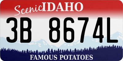 ID license plate 3B8674L