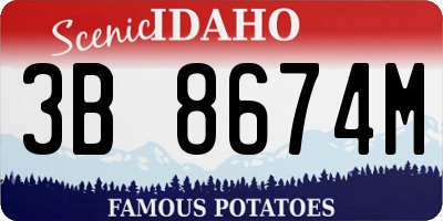ID license plate 3B8674M