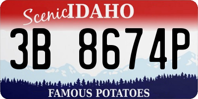 ID license plate 3B8674P