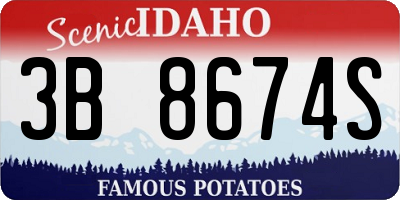 ID license plate 3B8674S