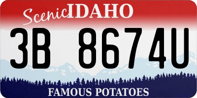 ID license plate 3B8674U