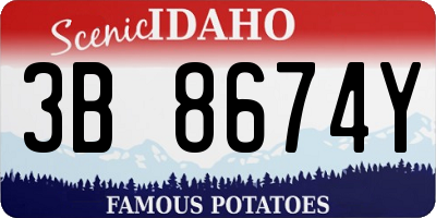 ID license plate 3B8674Y