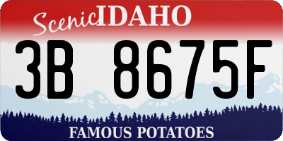 ID license plate 3B8675F