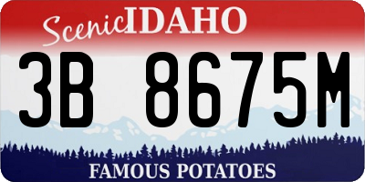 ID license plate 3B8675M