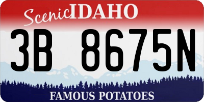 ID license plate 3B8675N