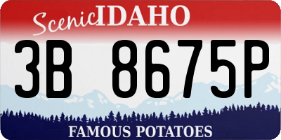 ID license plate 3B8675P