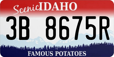 ID license plate 3B8675R