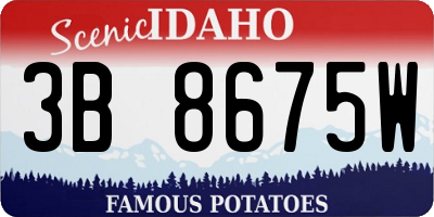 ID license plate 3B8675W