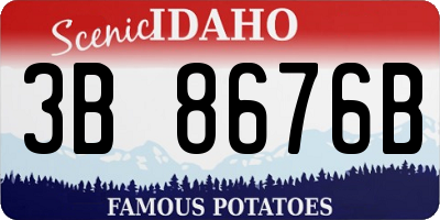 ID license plate 3B8676B