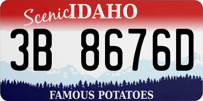 ID license plate 3B8676D