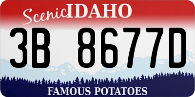 ID license plate 3B8677D