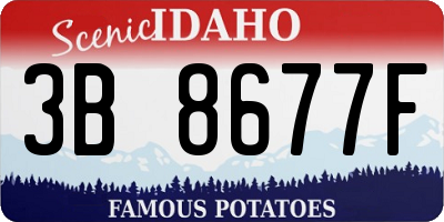ID license plate 3B8677F