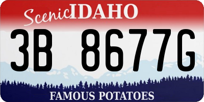 ID license plate 3B8677G