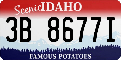 ID license plate 3B8677I
