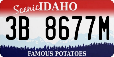 ID license plate 3B8677M