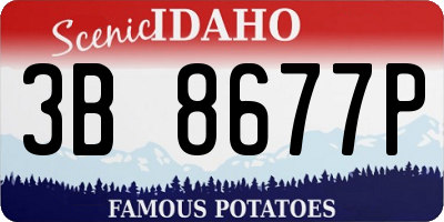 ID license plate 3B8677P