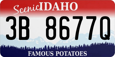 ID license plate 3B8677Q