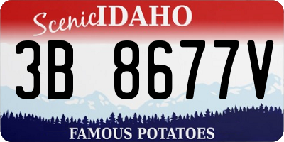 ID license plate 3B8677V