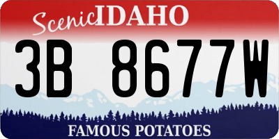 ID license plate 3B8677W