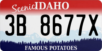 ID license plate 3B8677X