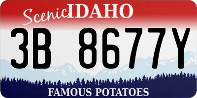 ID license plate 3B8677Y