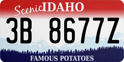 ID license plate 3B8677Z